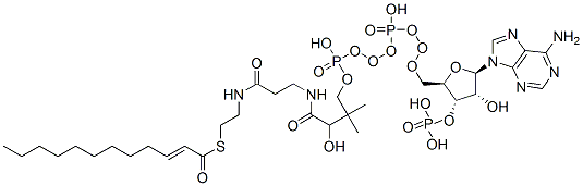 2-反-十二烯酰基-CO A