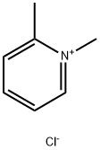 1,6-dimethylpyridine chloride