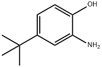 2-氨基-4-叔丁基苯酚