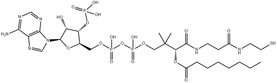 辛酰辅酶A