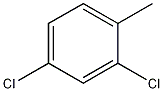 2,4-二氯甲苯