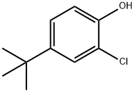 4-叔-丁基-2-氯苯酚