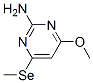 2-Pyrimidinamine, 4-methoxy-6-(methylseleno)- (9CI)