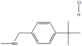 N-甲基-4-叔丁基苄基胺盐酸盐