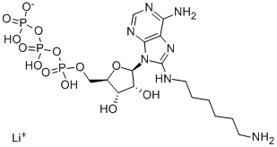 8-[（6-氨基己基）氨基]-腺苷5'-（三磷酸四氢）三锂盐（9CI）