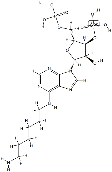 N-（6-氨基己基）-5'-O-（羟基膦酰基）腺苷3'-（磷酸二氢）锂