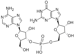 腺苷基3'-5'-鸟苷铵盐
