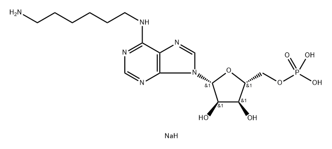 N(sup 6)(6-aminohexyl)adenosine 5'-monophosphate, sodium