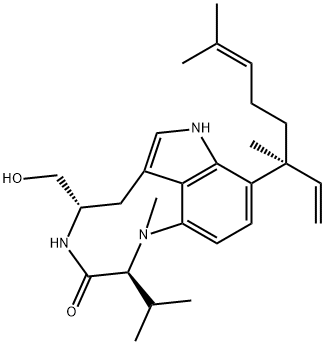 TELEOCIDINA-2
