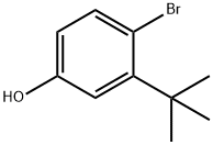 4-溴-3-叔丁基苯酚