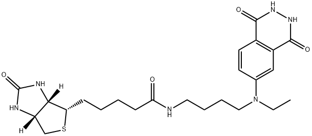 aminobutylethylisoluminol-biotin