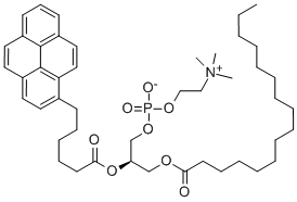 1-HEXADECANOYL-2-(1-PYRENEHEXANOYL)-SN-GLYCERO-3-PHOSPHOCHOLINE