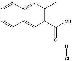 2-Methylquinoline-3-carboxylic acid hydrochloride