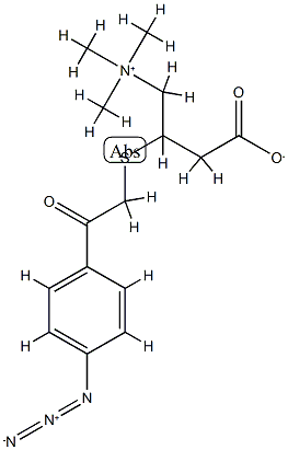4-azidophenacetylthiocarnitine