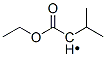 Propyl,  1-(ethoxycarbonyl)-2-methyl-  (9CI)