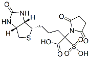 biotinyl-N-hydroxysulfosuccinimide ester