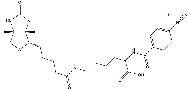 4-diazobenzoyl biocytin