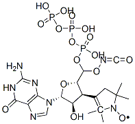 3'-(2,2,5,5-tetramethylpyrroline-1-oxyl-3-carbonyl)amino-3'-deoxyguanosine 5'-triphosphate