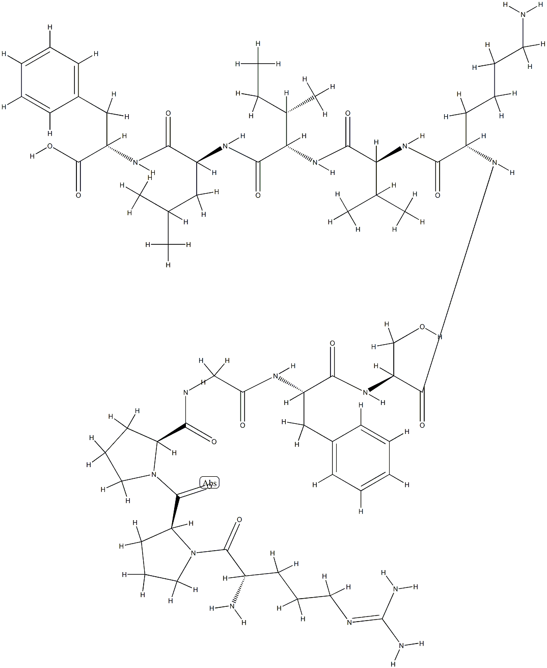 head activator peptide, hydra, Arg(1), Phe(5)-