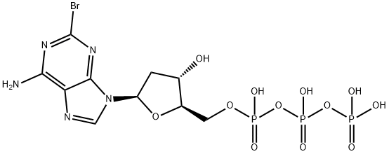 2-bromo-2'-deoxyadenosine triphosphate