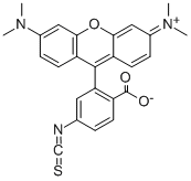 四甲基罗丹明-5(6)异硫氰酸酯