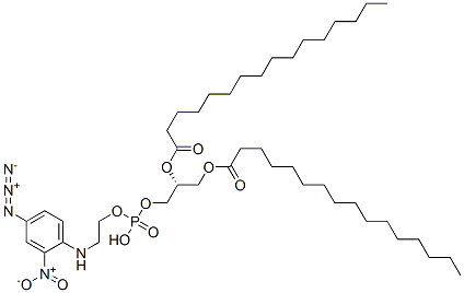 1,2-dipalmitoyl-sn-glycerol 3-((((4-azido-2-nitrophenyl)amino)ethyl)phosphate)