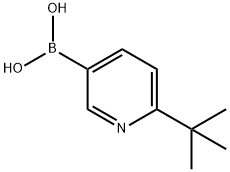 2-叔丁基-5-吡啶硼酸