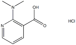 2-(二甲氨基)吡啶-3-羧酸盐酸盐