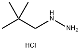 (2,2-二甲基丙基)肼二盐酸盐