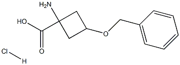 1-氨基-3-(苄氧基)环丁烷羧酸盐酸盐