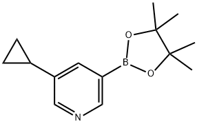3-环丙基-5-吡啶硼酸酯