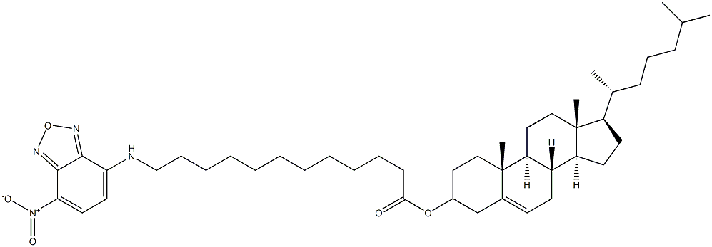 5-CHOLESTEN-3-OL 12-[(7-NITRO-2-1,3-BENZOXADIAZOL-4-YL)AMINO]DODECANOATE;NBD-12 CHOLESTEROL