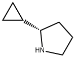 (S)-2-环丙基-吡咯烷