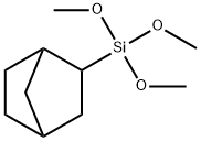 2-(三甲氧基甲硅烷基) - 二环[2,2,1]庚烷