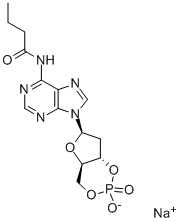 N6-MONOBUTYRYL-2'-DEOXYADENOSINE 3':5'-CYCLIC MONOPHOSPHATE SODIUM SALT