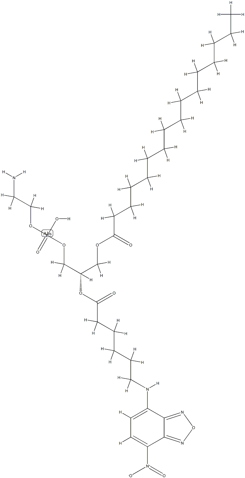 1,2-(palmitoyl-NBD-aminocaproyl)phosphatidylethanolamine