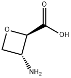 (2R, 3R)-3-AMINO-2-OXETANECARBOXYLIC ACID