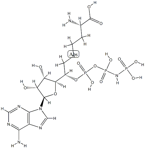 5'-((homocysteinyl)methyl)adenosine 5'-(beta,gamma-imidotriphosphate)