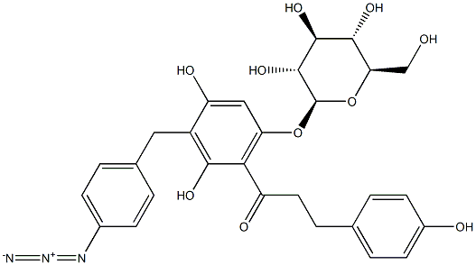 phlorizinyl 5'-benzylazide