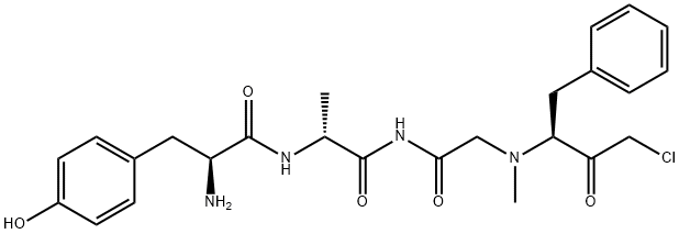 tyrosyl-alanyl-glycyl-N(alpha)-methylphenylalanine chloromethyl ketone