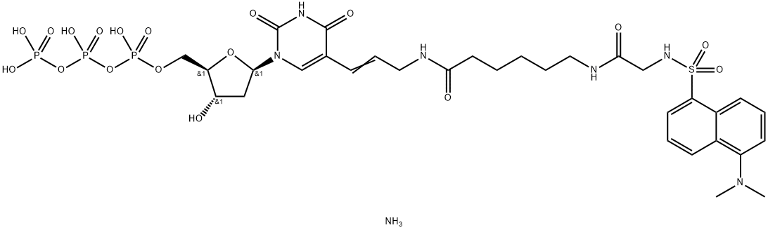 5-(dansylglycyl-6-aminohexanoylaminoprop-1-enyl)-2'-deoxyuridine 5'-triphosphate