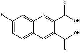 7-FLUOROQUINOLINE-2,3-DICARBOXYLIC ACID