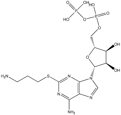 2-((3-aminopropyl)thio)adenosine 5'-diphosphate