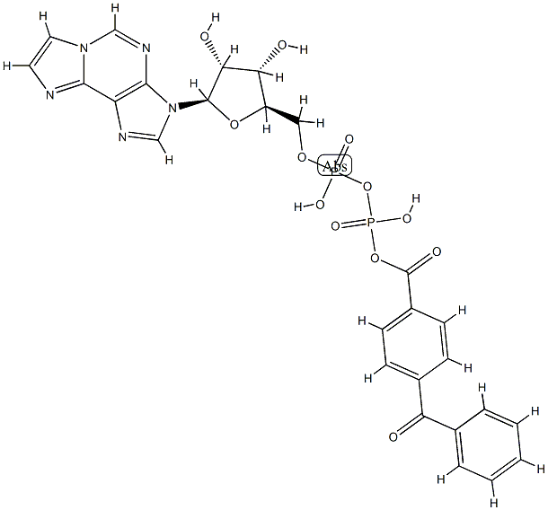3'(2')-O-(4-benzoylbenzoyl)-1,N(6)-ethenoadenosine 5'-diphosphate