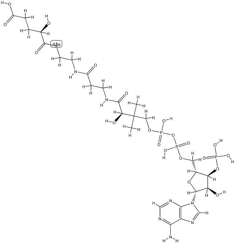 2-hydroxyglutaryl-1-coenzyme A