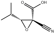 Oxiranecarboxylic acid, 2-cyano-3-(1-methylethyl)-, trans- (9CI)