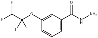 苯甲酰肼,3-(1,1,2,2-四氟乙氧基)-