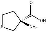 (S)-3-氨基四氢噻吩-3-羧酸