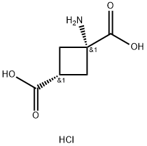 cis(1-aminocyclobutane-1,3-dicarboxylic acid) hydrochloride
