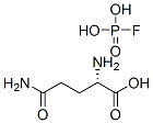 化合物 T31944